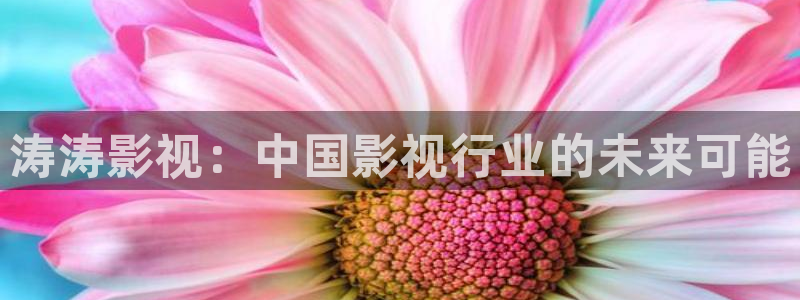 飞马影视