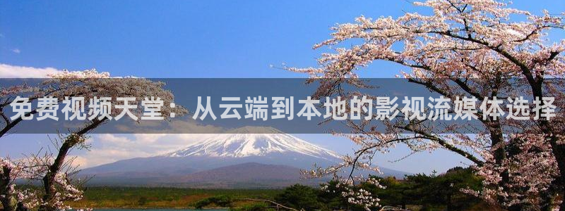 飞马影院下载安装：免费视频天堂：从云端到本地的影视流媒体选择
