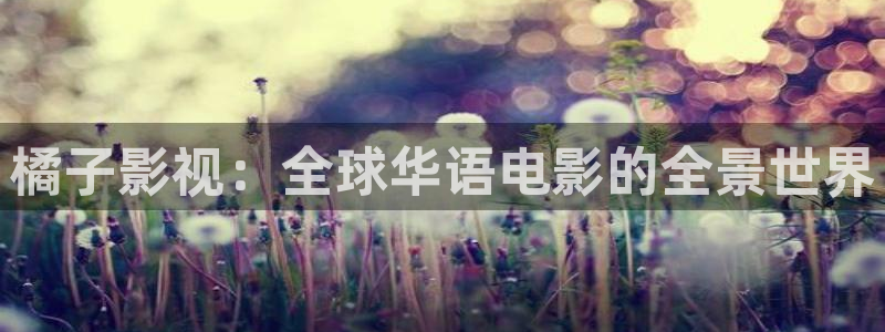 飞马影视：橘子影视：全球华语电影的全景世界