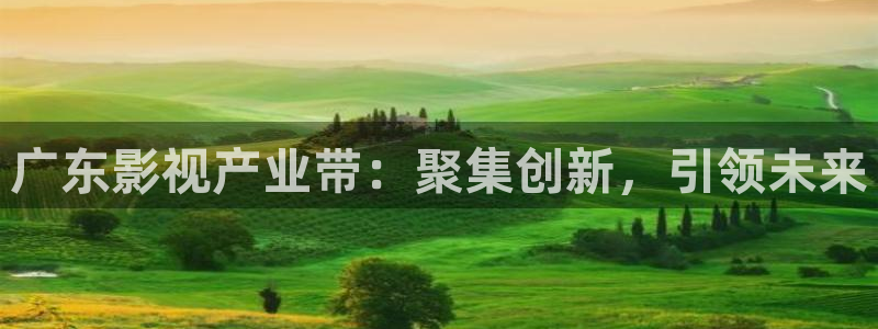 飞马影视电影