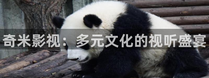 飞马影院在线观看