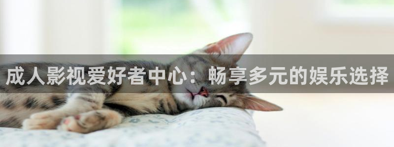 飞马影院在线观看