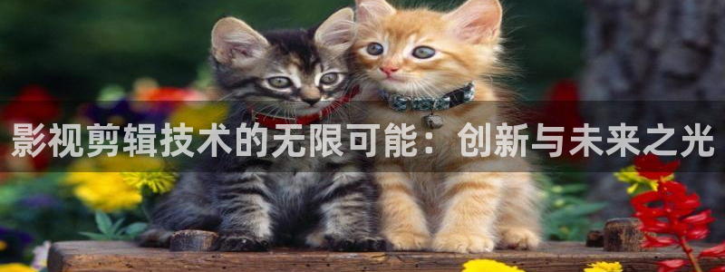 飞马影视
