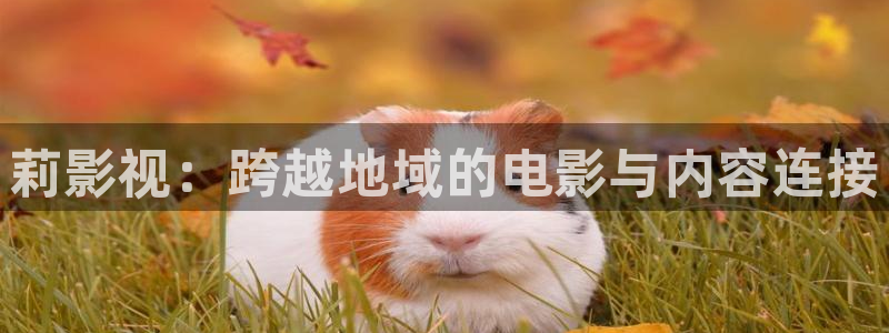 飞马影院app
