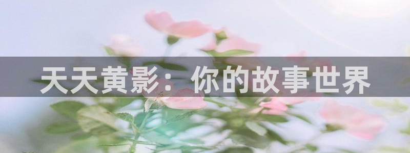 飞马影视