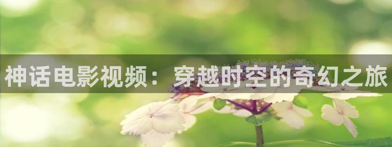 飞马影视电影
