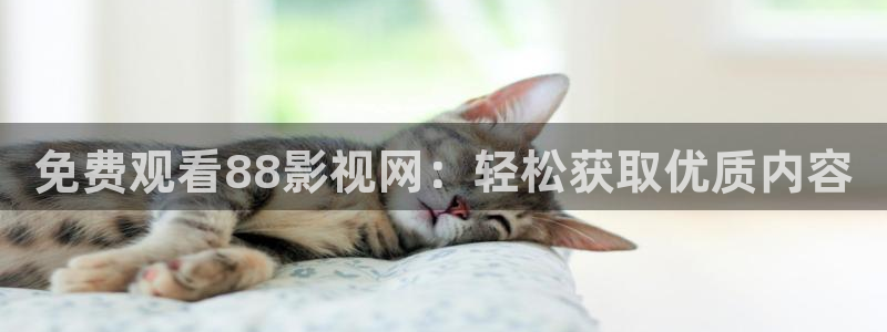 飞马影视